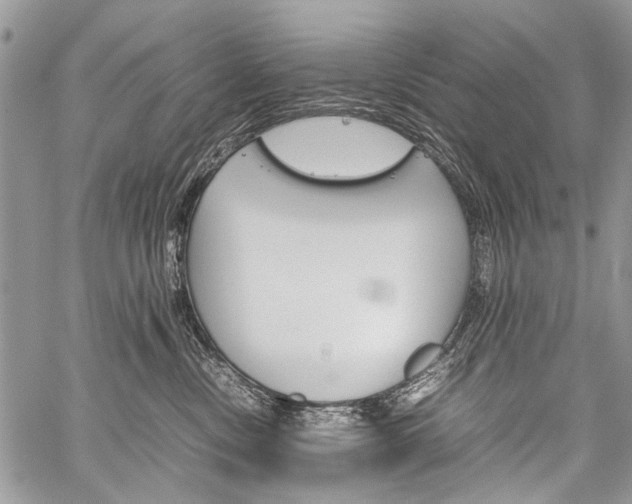 X0000059800378200510210903