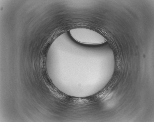 X0000059800379200510210903