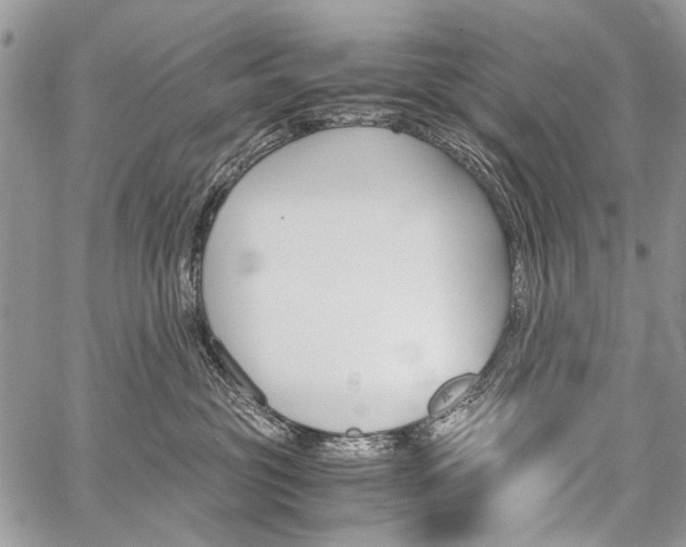 X0000059800381200510210903