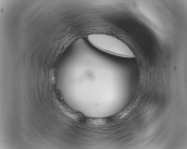 X0000059800383200510210903