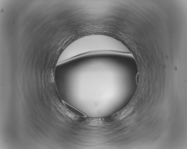 X0000059800384200510210903