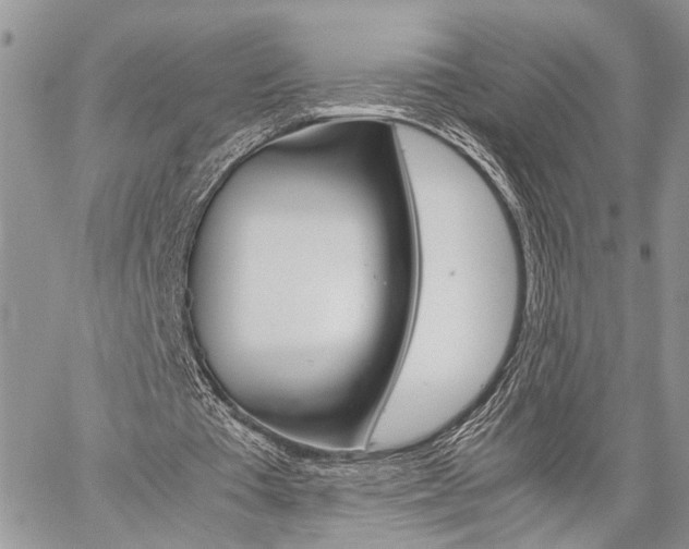 X0000059800385200510210902