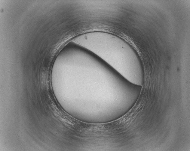 X0000059800386200510210902