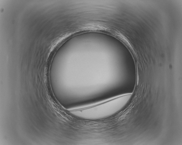 X0000059800387200510210902