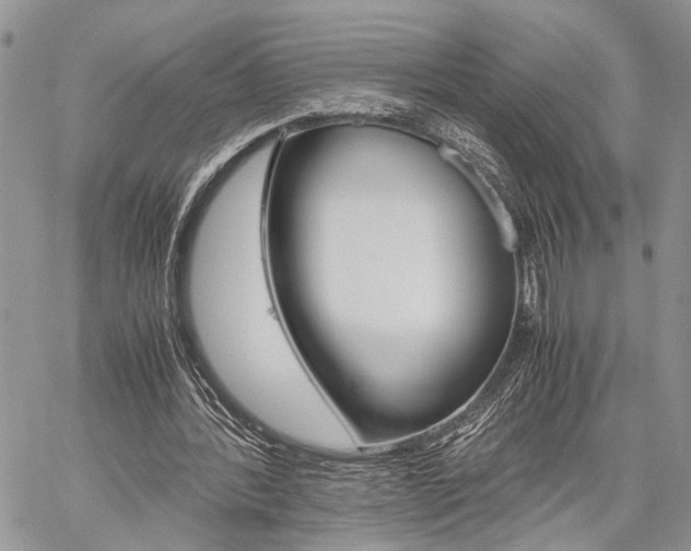 X0000059800388200510210902