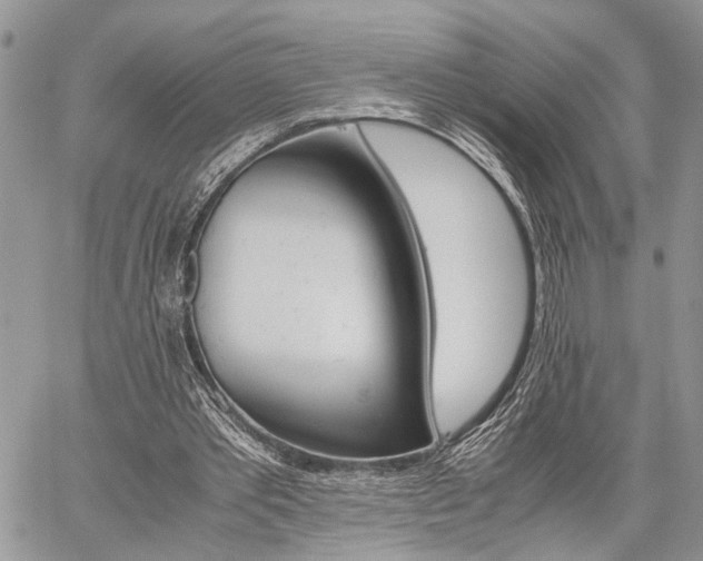 X0000059800389200510210902