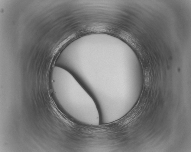 X0000059800390200510210902