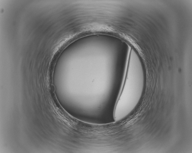 X0000059800391200510210902