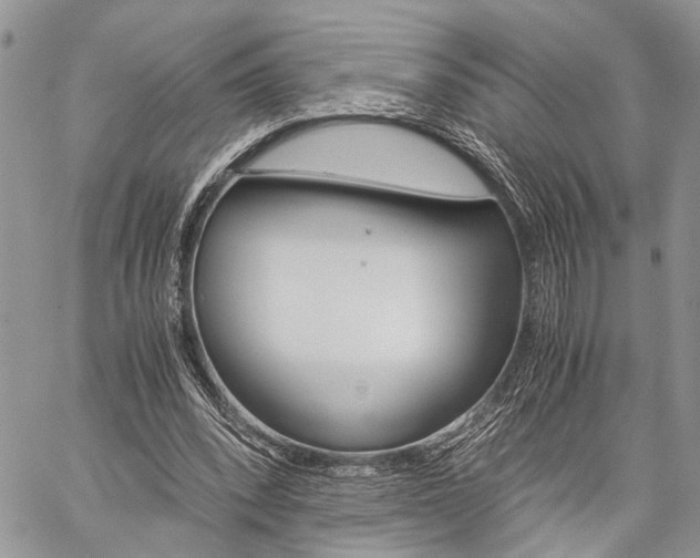 X0000059800392200510210902