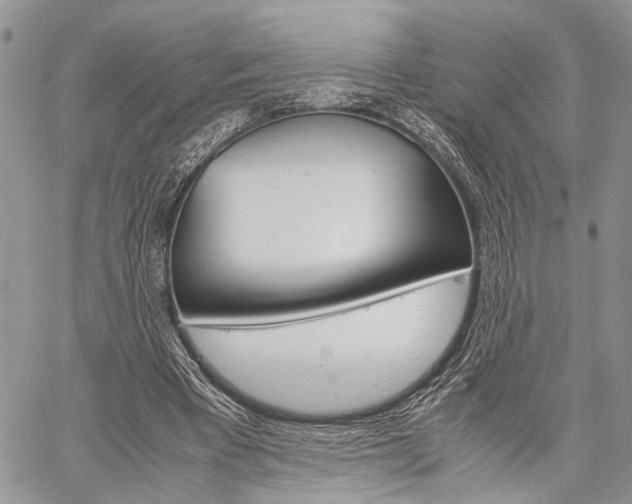 X0000059800393200510210902