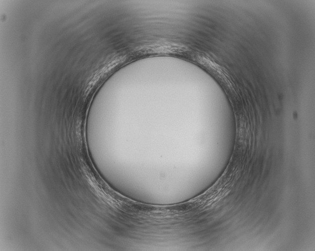 X0000059800394200510210902