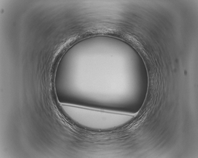 X0000059800395200510210902