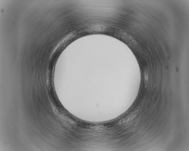 X0000059800396200510210902