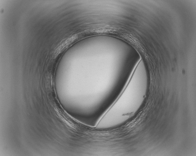 X0000059800397200510210902