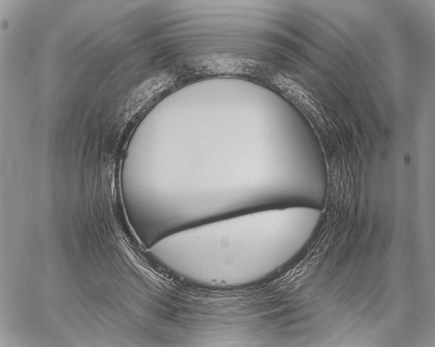 X0000059800398200510210902