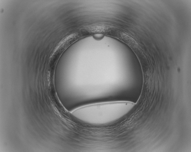 X0000059800400200510210902