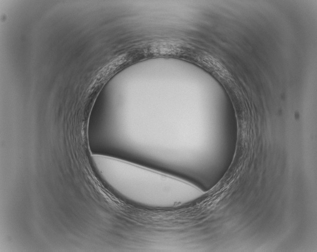 X0000059800401200510210902