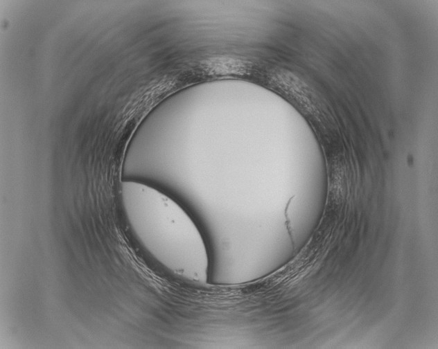 X0000059800402200510210902