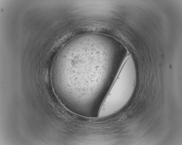 X0000059800403200510210902