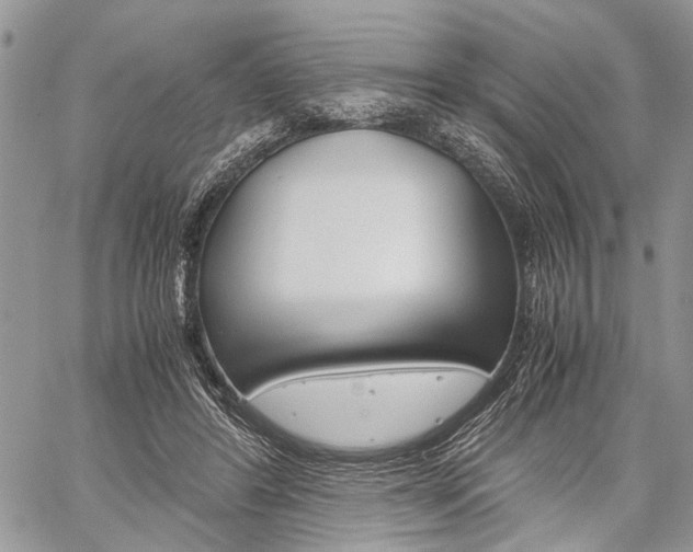 X0000059800404200510210902