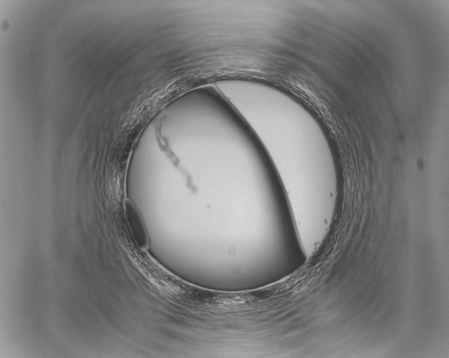 X0000059800405200510210902