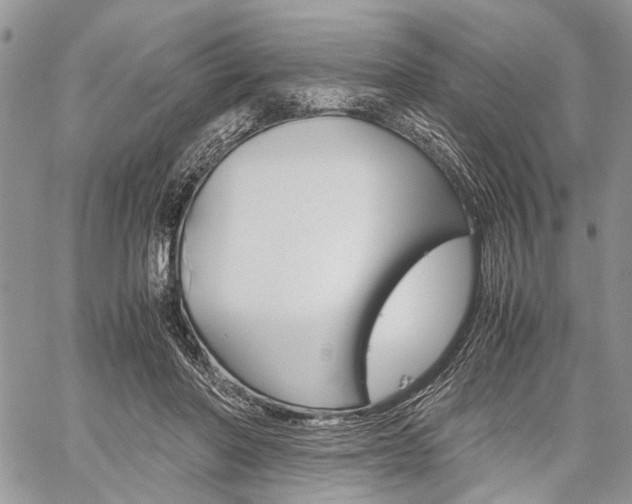 X0000059800406200510210902