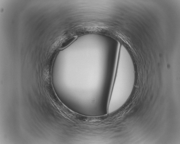 X0000059800407200510210902