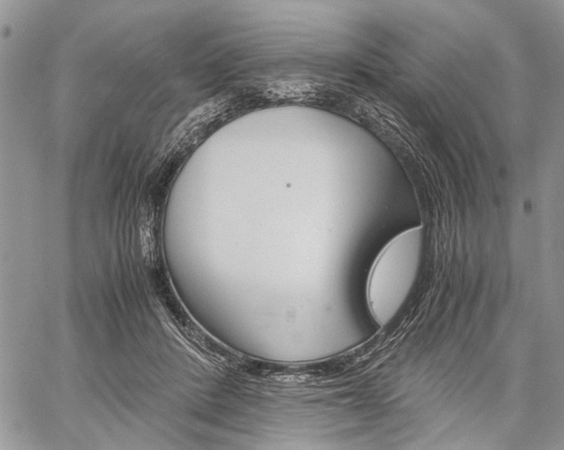 X0000059800408200510210902