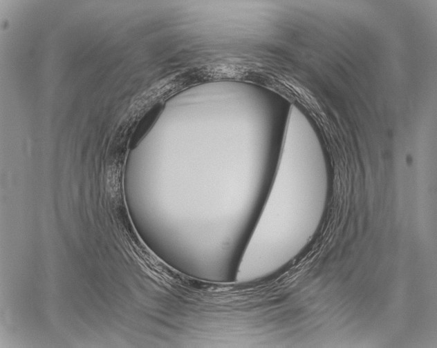 X0000059800409200510210902