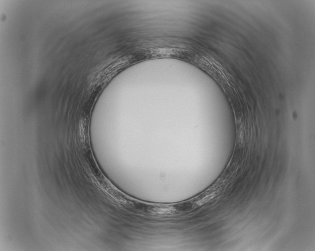 X0000059800410200510210902