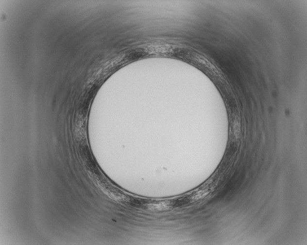 X0000059800411200510210902