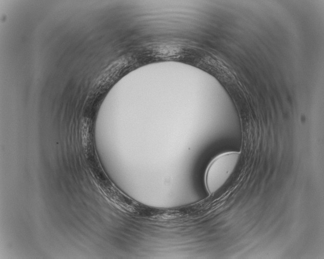 X0000059800412200510210902