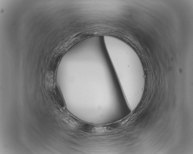 X0000059800413200510210902