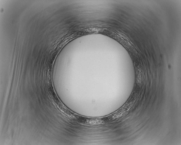 X0000059800414200510210902