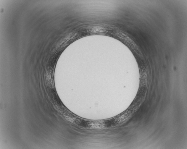 X0000059800415200510210902