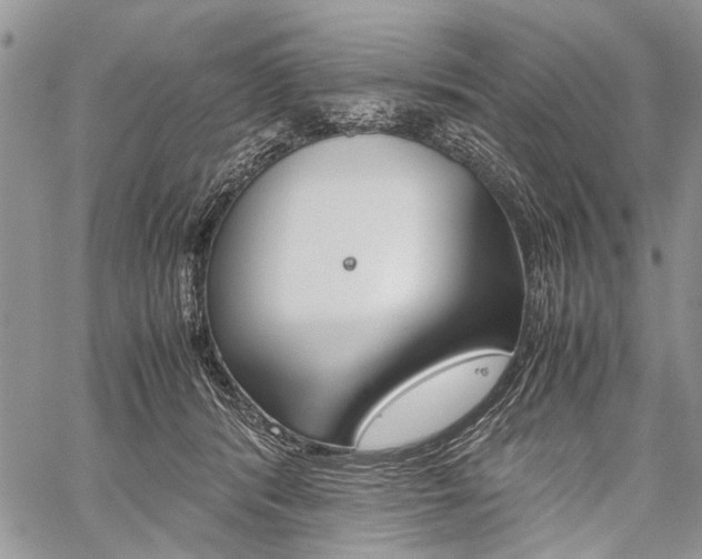 X0000059800416200510210902