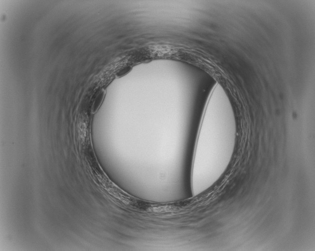 X0000059800417200510210902