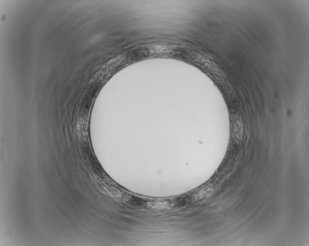 X0000059800419200510210902