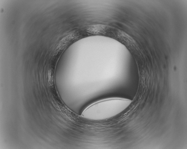 X0000059800420200510210902