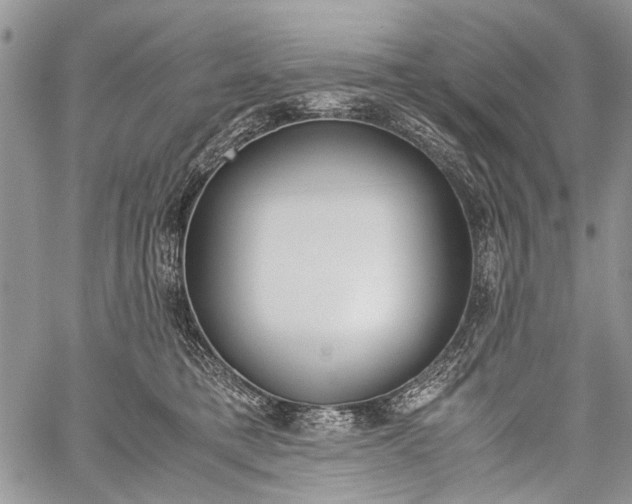 X0000059800421200510210902