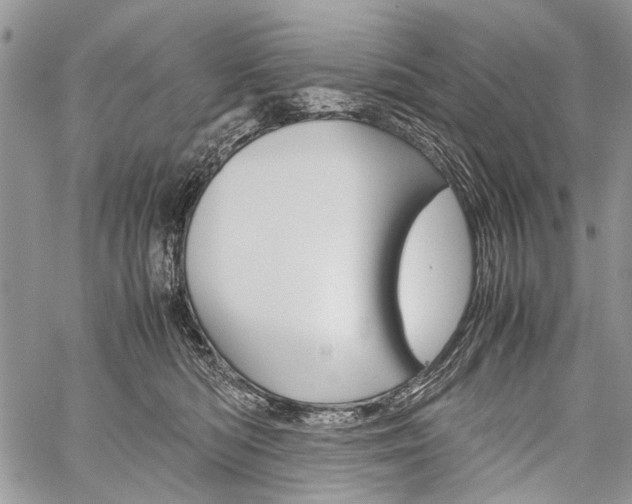 X0000059800422200510210902