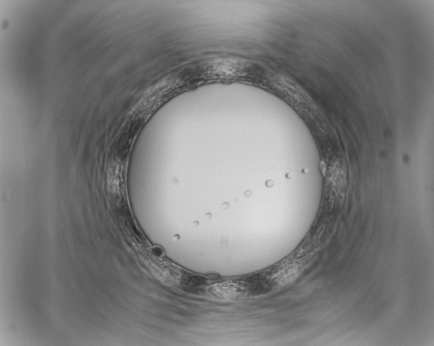 X0000059800423200510210901