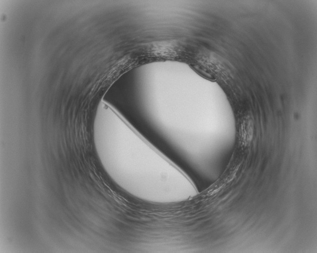 X0000059800424200510210901