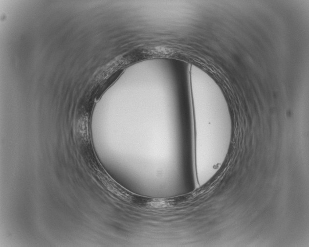 X0000059800425200510210901