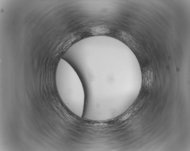 X0000059800426200510210901