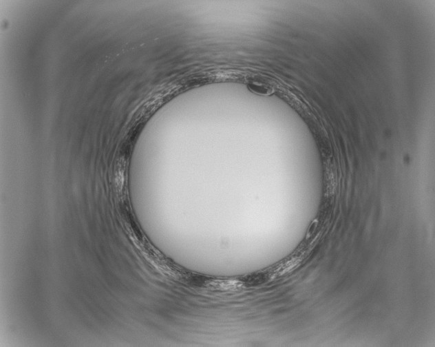 X0000059800427200510210901