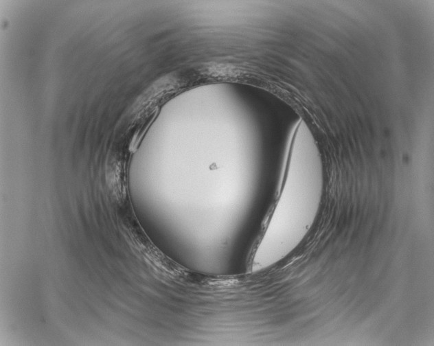 X0000059800428200510210901