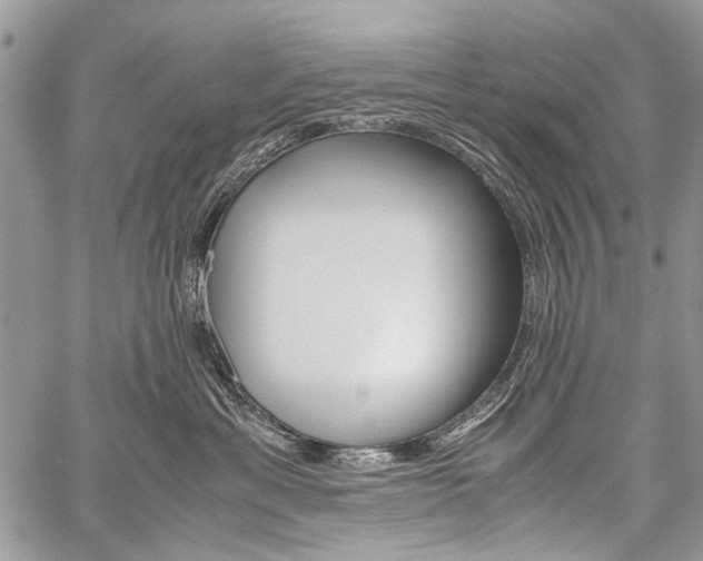 X0000059800429200510210901