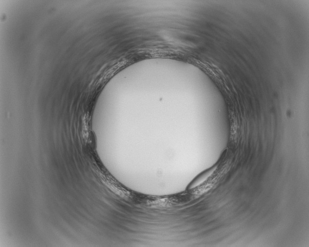 X0000059800430200510210901