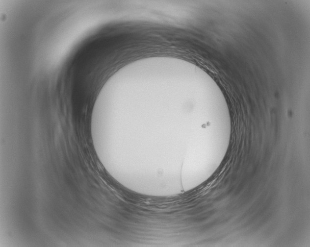 X0000059800431200510210901